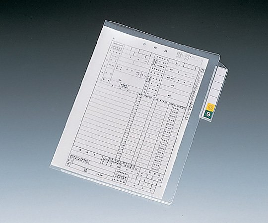 カルテフォルダー(縦タイプ) シングルポケット HK7608-ミ(200枚)