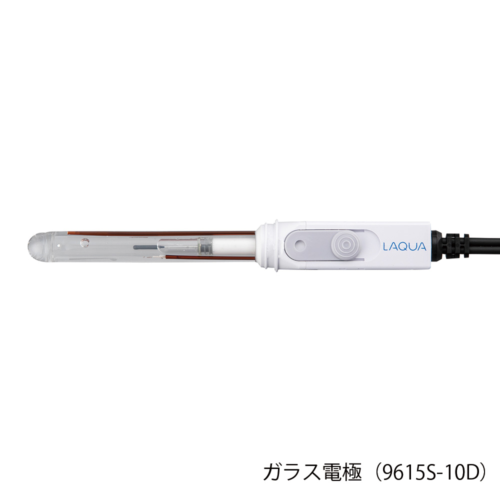 ToupH電極 9615-10D