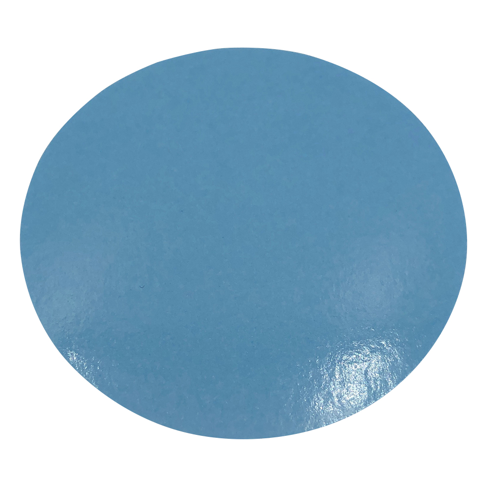 PTFEメンブレンフィルター F(10枚)