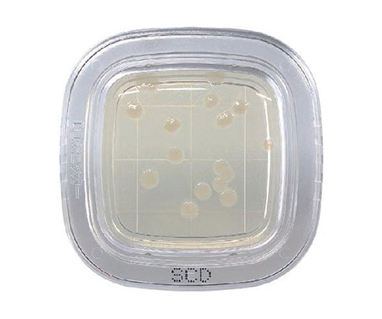 ぺたんチェック®DD SCD寒天培地 PD0023(20枚)