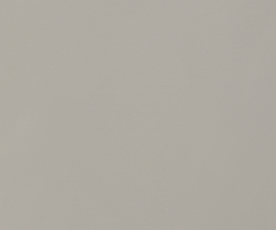 2-9818-12 金属製メッシュ純ニッケルナノメッシュ No.2
