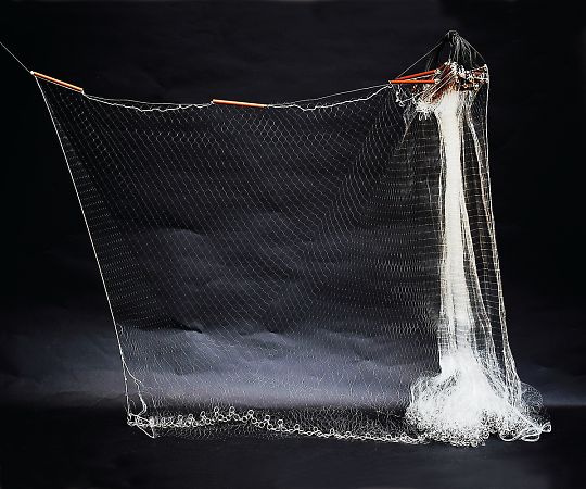 巻網(刺網) 一目42mm 長さ27m