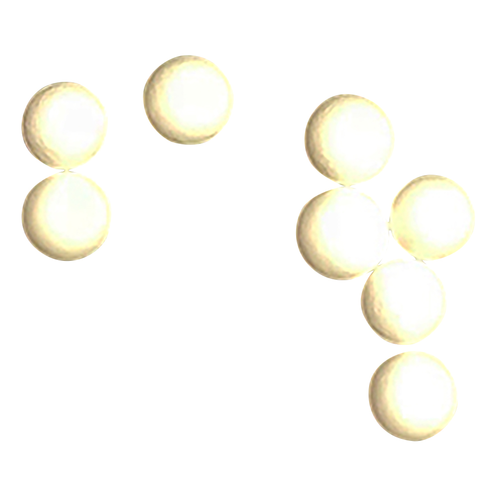 ビーズ式粉砕機 セラミックビーズ(φ2.8mm)