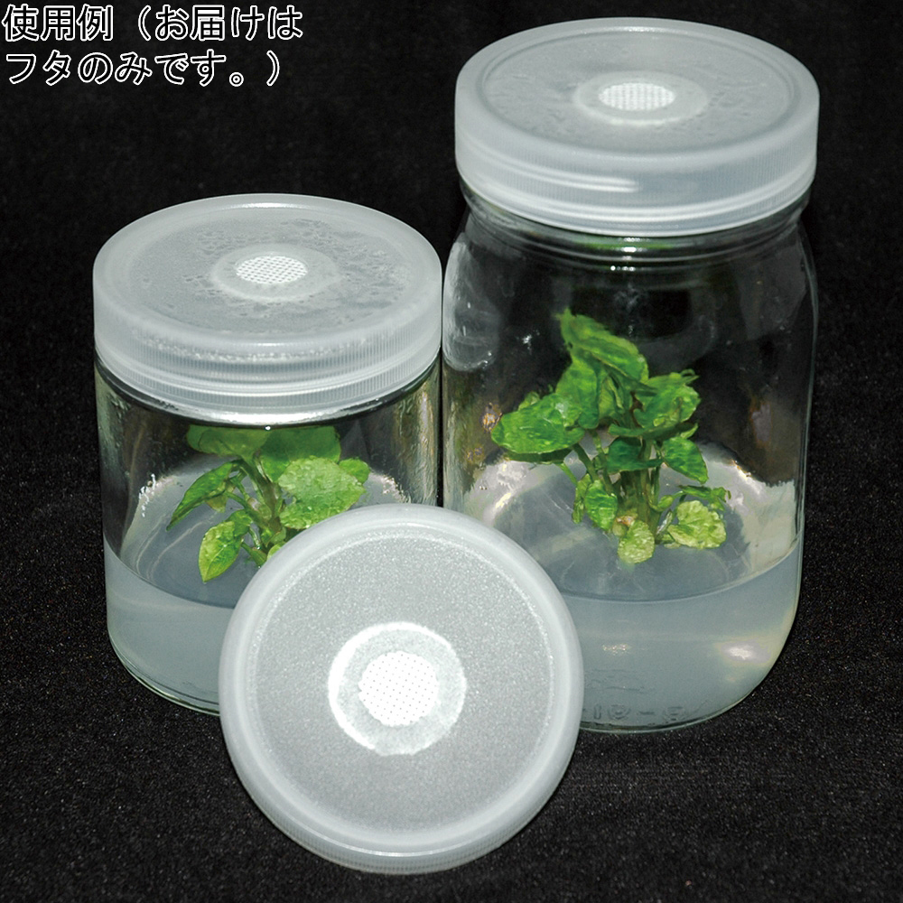 植物培養容器 ベント付きフタ(10個)