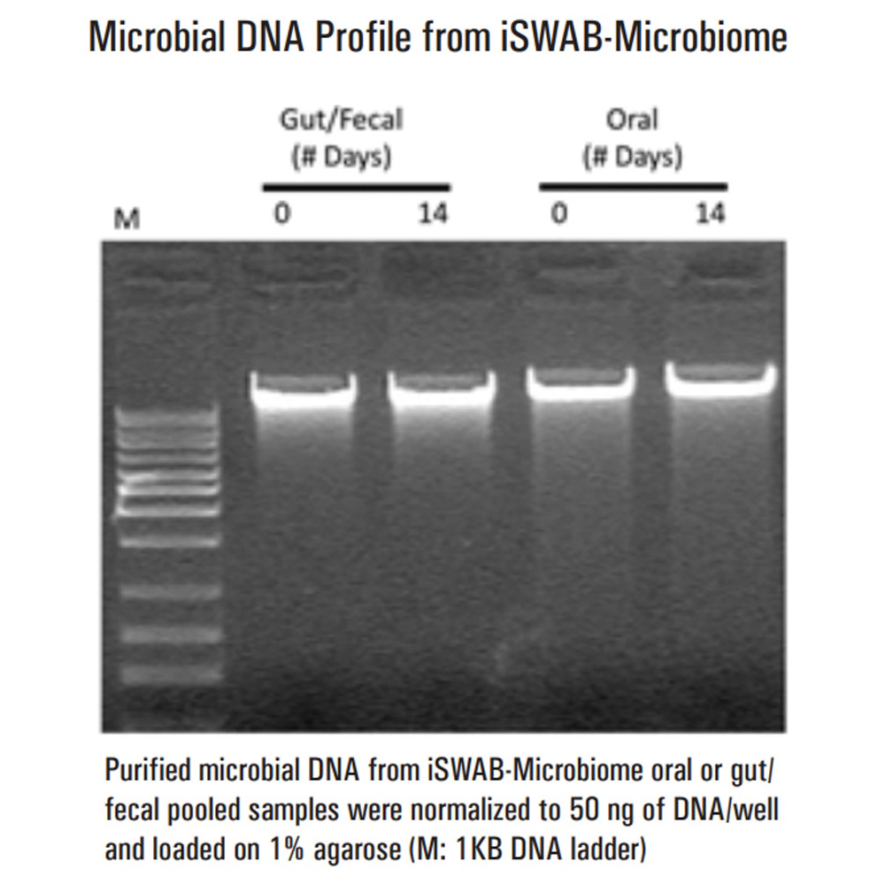 DNA検体保管チューブ(iSWAB)1000uL(50本)