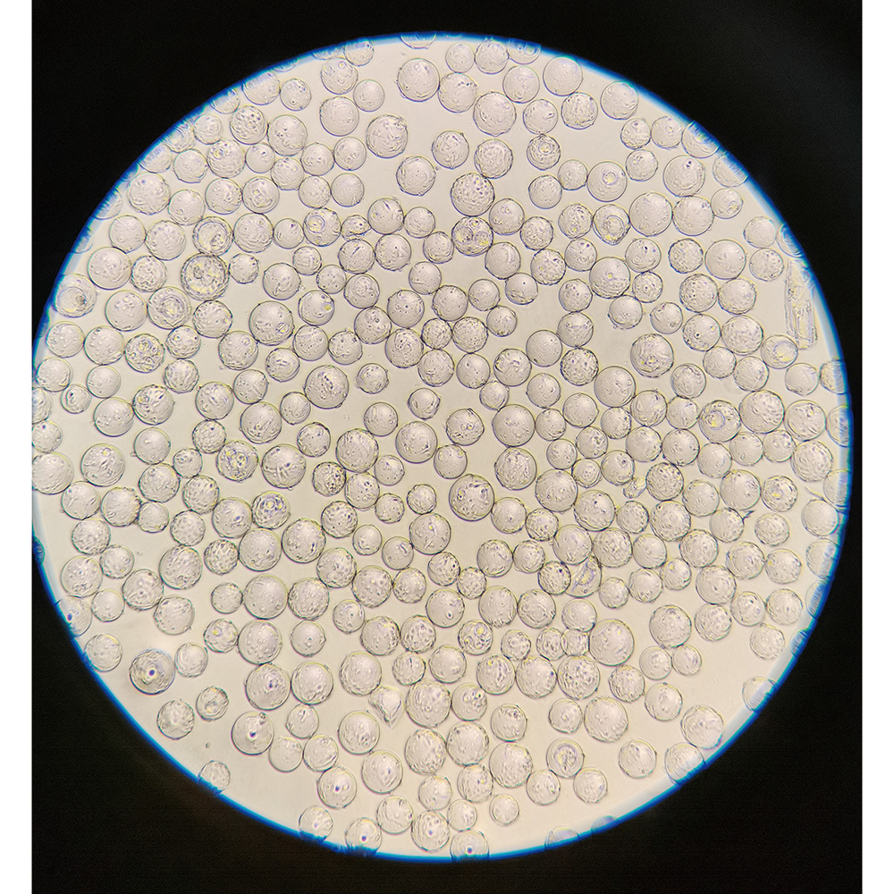 球体バイオキャリアー C100025 25g入 C100025(1本(25g入り))