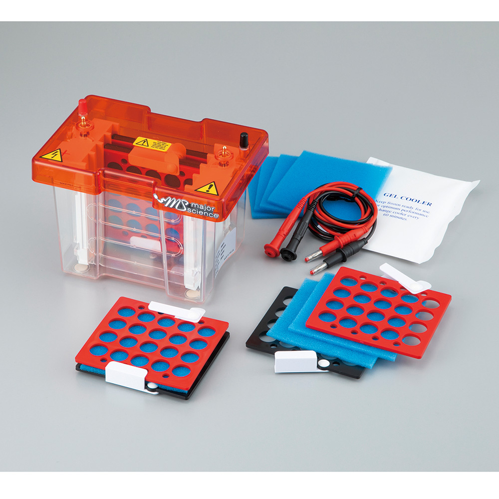 ブロッティング装置 MSB10 MSB10(1セット)