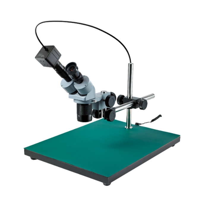 実体顕微鏡