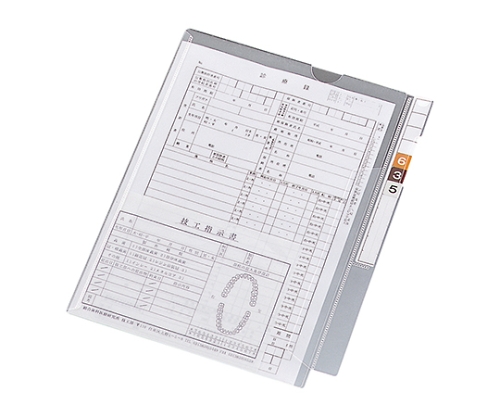 カルテフォルダー(フラップ付)シングル<縦型> HK2001(100枚)