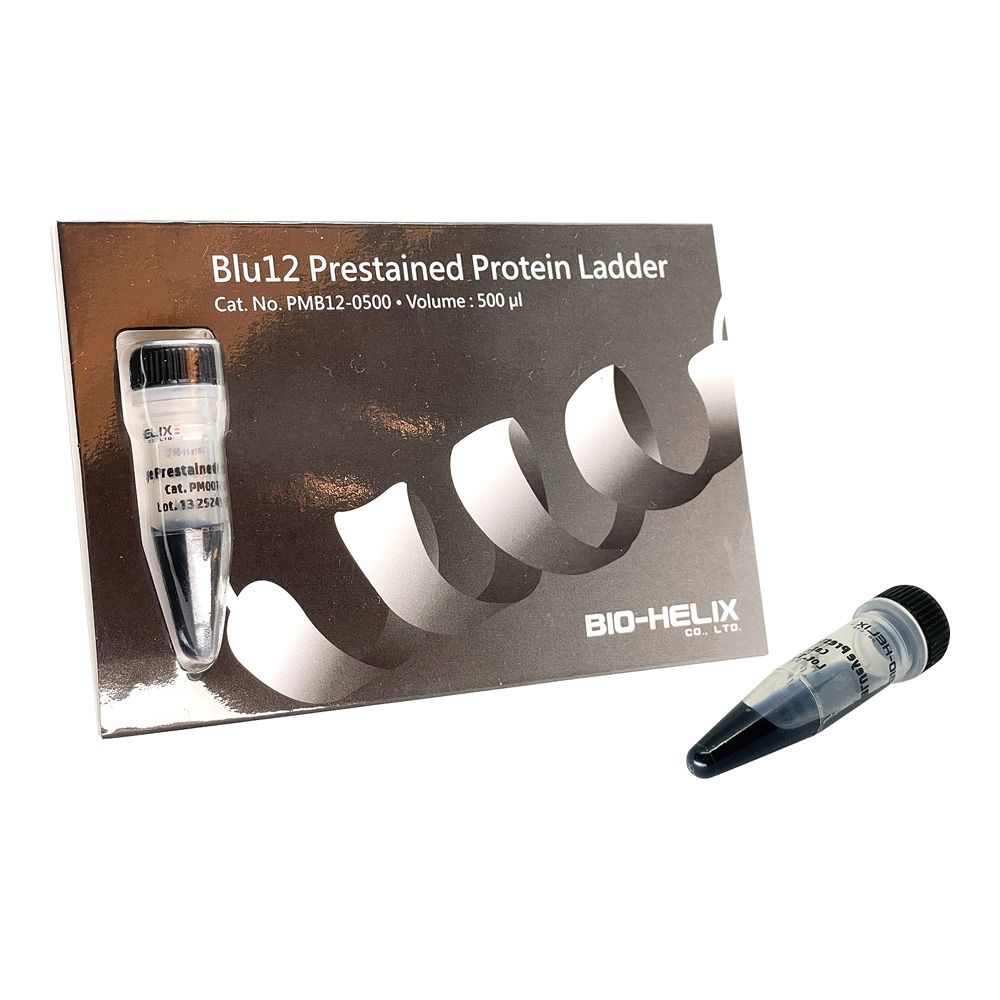 BLUeye Prestained Protein Ladder プロテインラダーマーカー PM007-0500