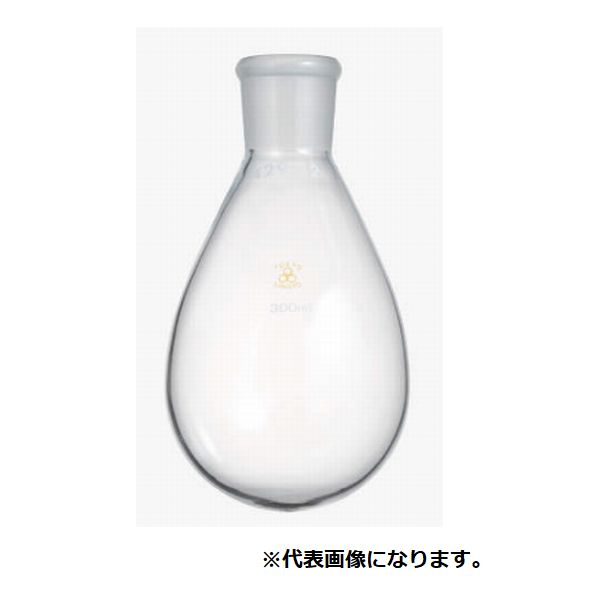 共通摺合ナス型フラスコ 82-4502