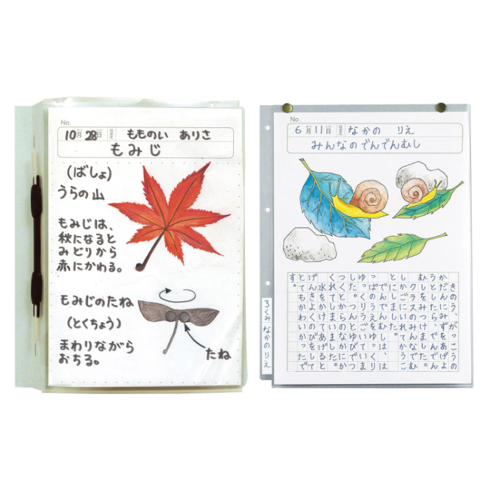 透明掲示ホルダー A4 2606