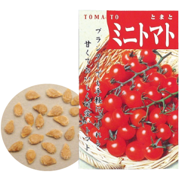 野菜の種 ミニトマト 2733