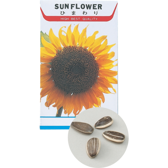 花の種 ヒマワリ 2741