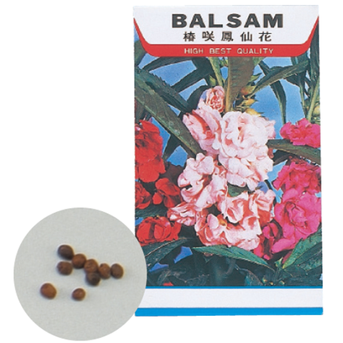 花の種 ホウセンカ 2743 アーテック