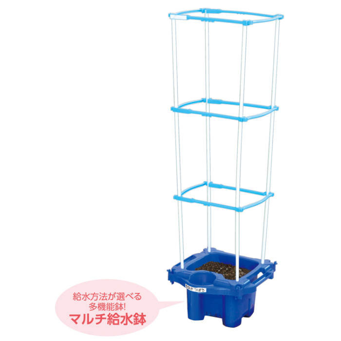 マルチラクラクあさがお虫めがね付Bセット 3571