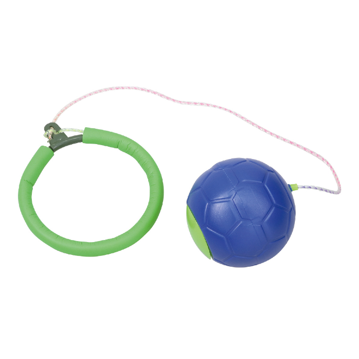 ビックボールスキップ 6846 アーテック