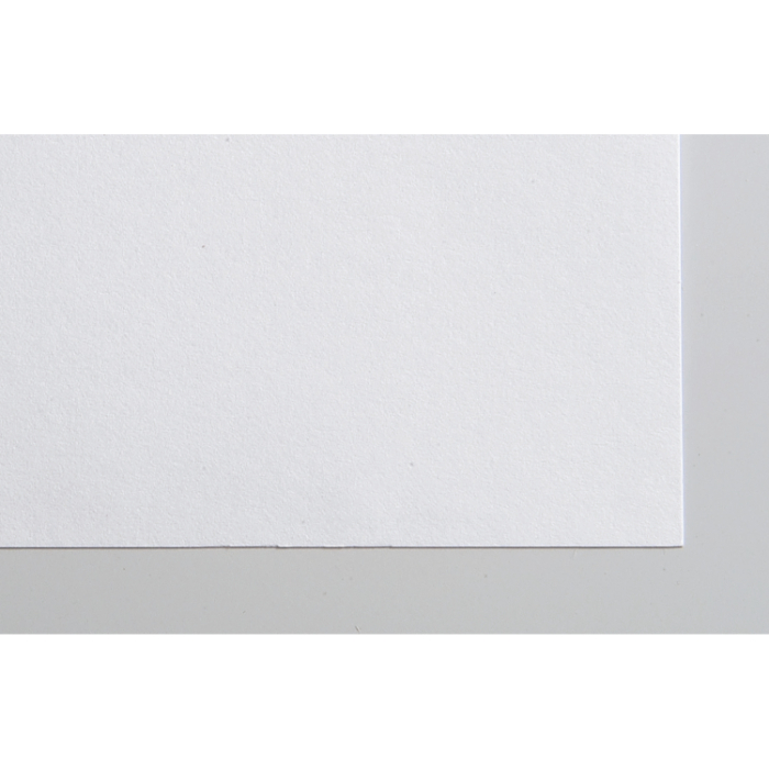 画用紙 8切 (#200 ) 11254(100枚)