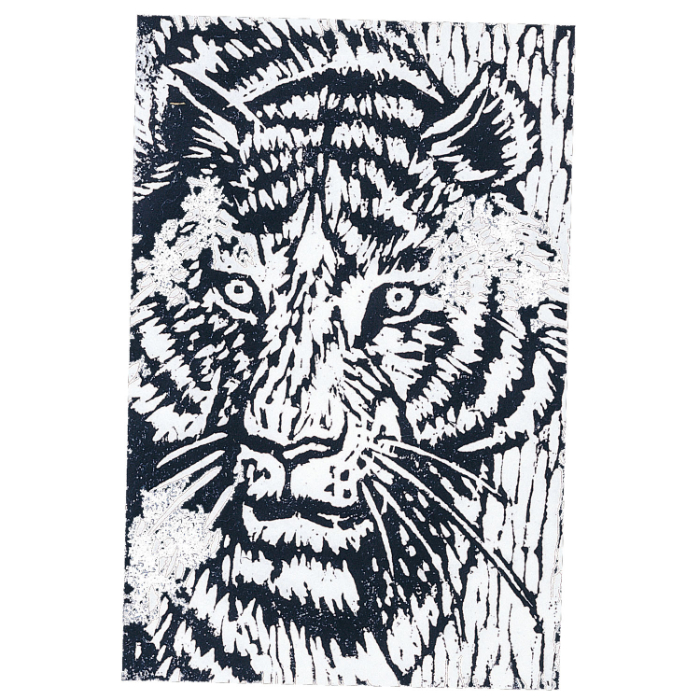 朴版木 A ハガキ判(150x100x10) 20310