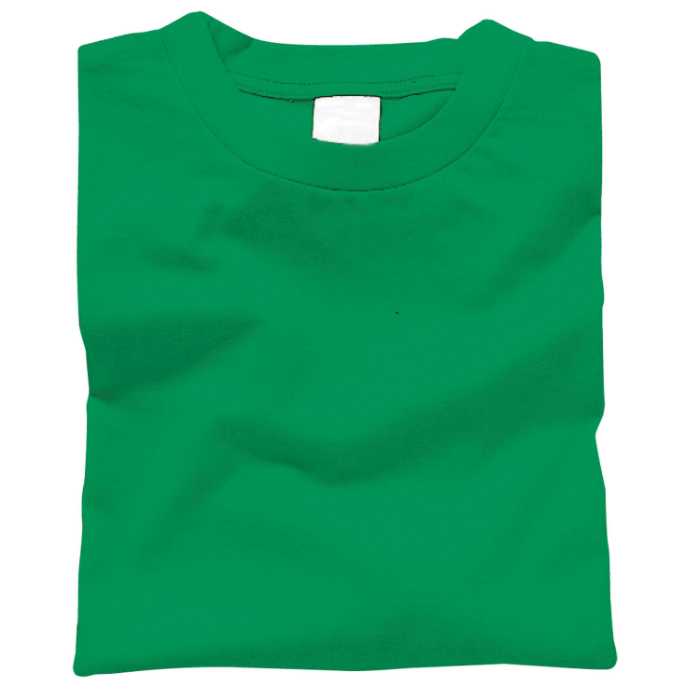 カラーTシャツ L 025 グリーン 38723