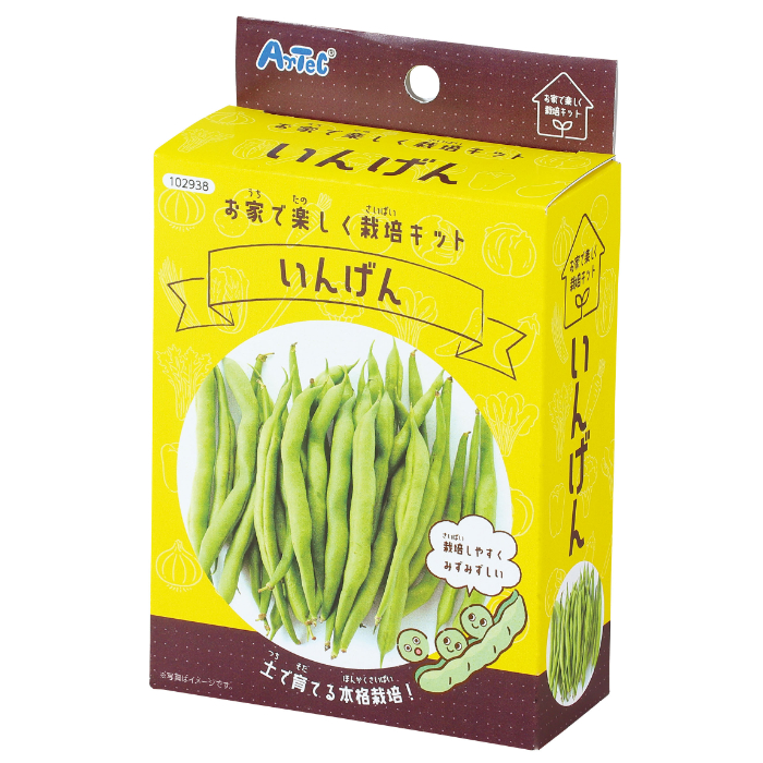 お家で楽しく栽培キット いんげん 102938