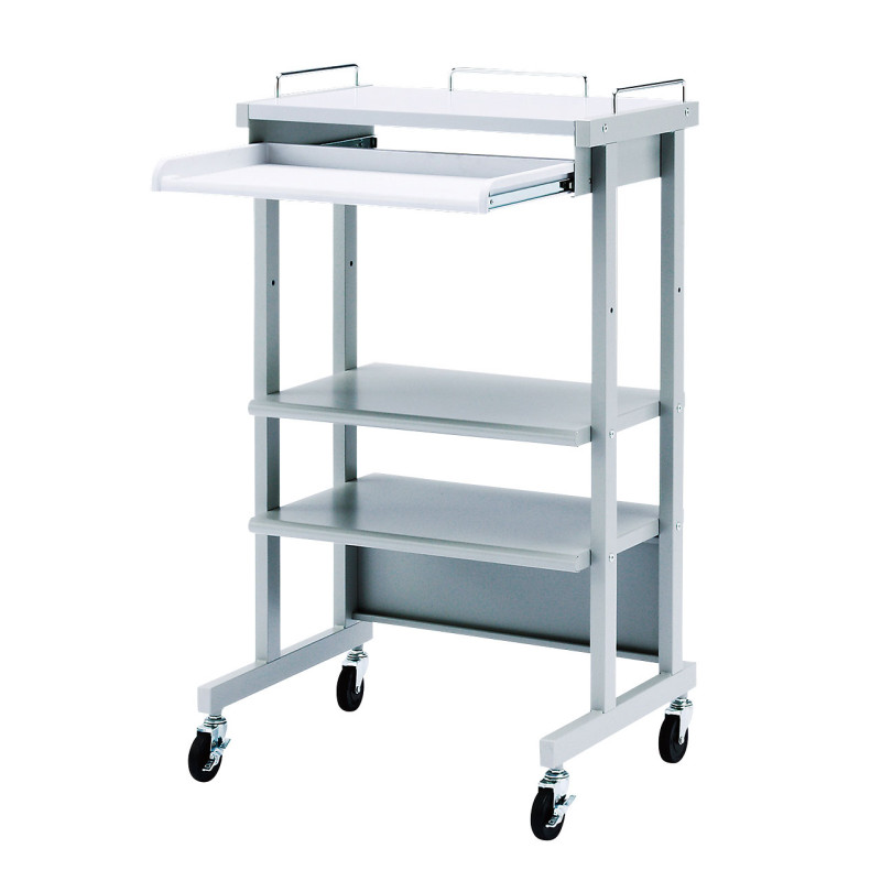 ハイスタンド RAC-317NK