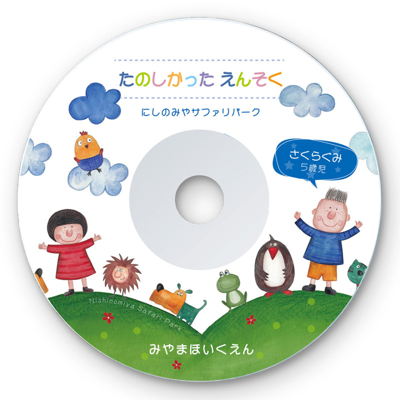インクジェットDVD/CDラベル(つやなしマット) LB-CDR001N-100