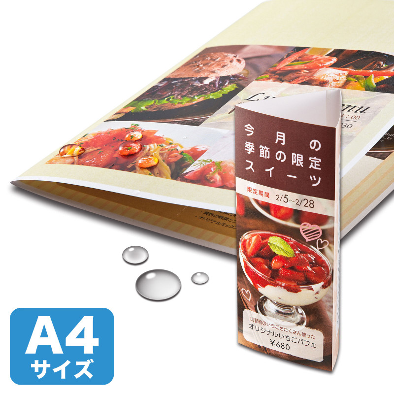 カラーレーザー用 耐水紙・特厚 LBP-WPF22MDPN